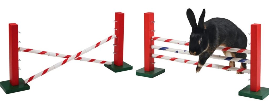 UPRIGHT-JUMP-30x62cm (1)